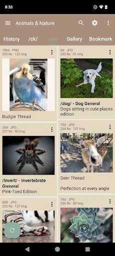 Read Chan (Paid), 4chan Reader screenshot