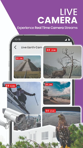 GPS Satellite Map, Live Camera screenshot