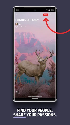 Flipboard:Your Social Magazine screenshot