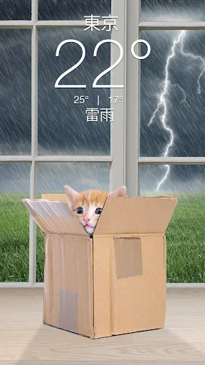 Weather Kitty - App & Widget screenshot