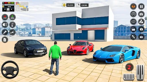 Expert Car Driving Academy screenshot