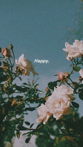 aesthetic background screenshot