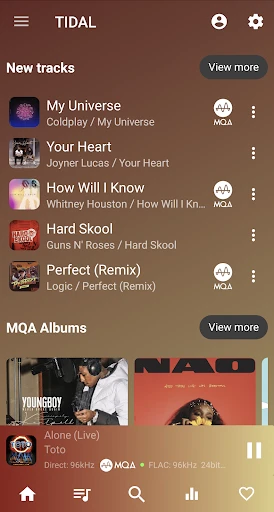USB Audio Player PRO screenshot
