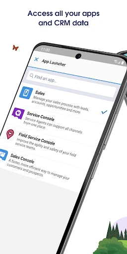 Salesforce screenshot