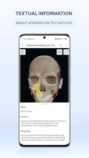 VOKA 3D Anatomy and Physiology screenshot