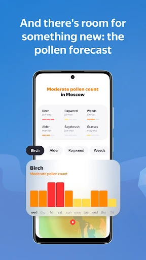 Yandex Weather & Rain Radar screenshot