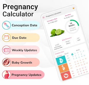 Pregnancy Calculator: Due Date screenshot