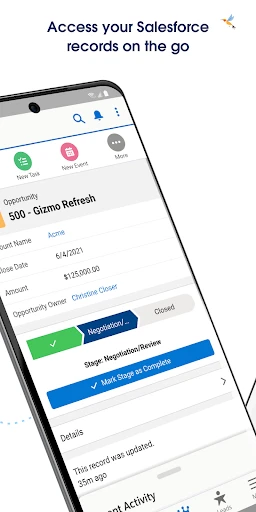Salesforce screenshot