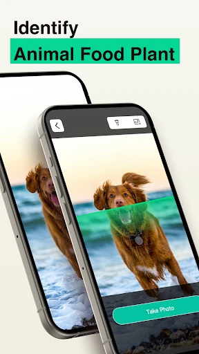 Safe QR OCR AI Scanner Creator screenshot