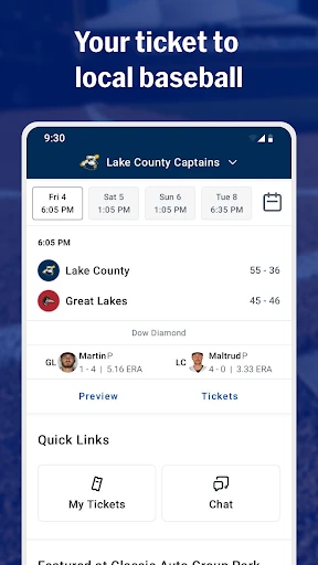 MiLB screenshot