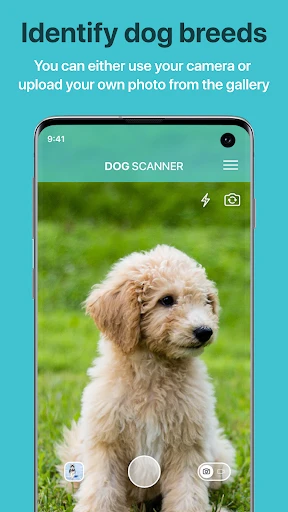 Dog Scanner: Breed Recognition screenshot