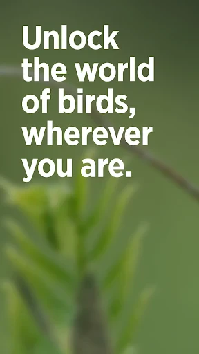 Audubon Bird Guide screenshot