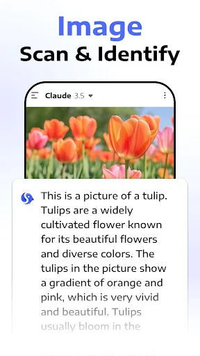 Deep Think - AI Seek Chatbot screenshot