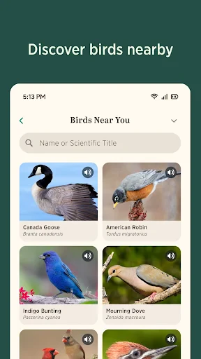 Audubon Bird Guide screenshot