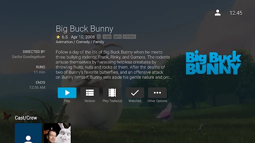 Jellyfin for Android TV screenshot