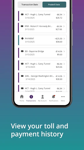 Official E-ZPass NY screenshot