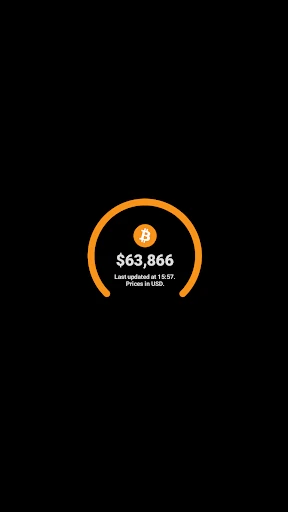 Bitcoin Price for Wear OS screenshot
