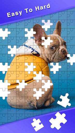 JigFun-Jigsaw Puzzle HD Photo screenshot