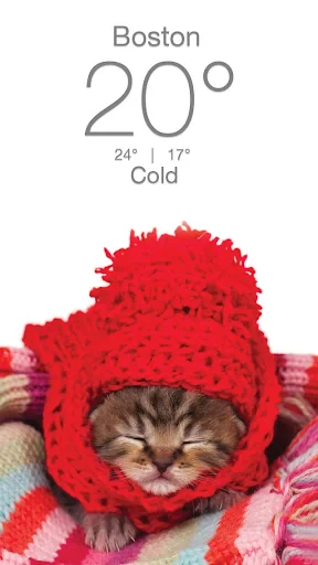 Weather Kitty - App & Widget screenshot