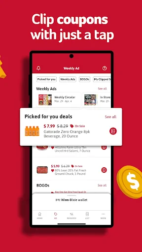 Winn-Dixie screenshot