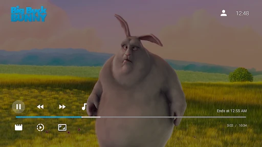 Jellyfin for Android TV screenshot