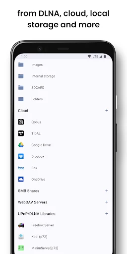 BubbleUPnP UPnP/DLNA License screenshot