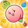 Fruit Fusion Fun icon