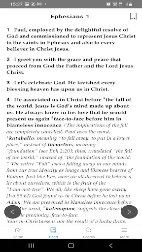 Mirror Study Bible screenshot