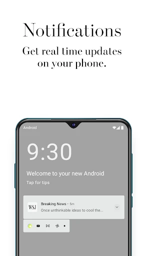 The Wall Street Journal. screenshot
