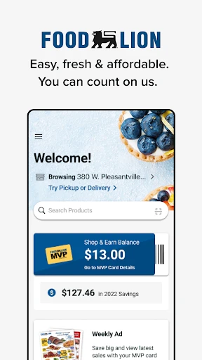 Food Lion screenshot