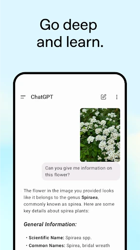 ChatGPT screenshot