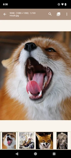 Read Chan (Paid), 4chan Reader screenshot