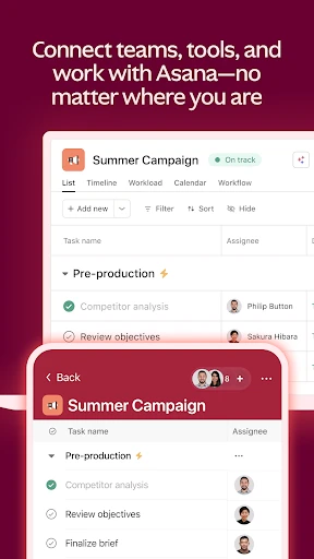 Asana: Where work connects screenshot