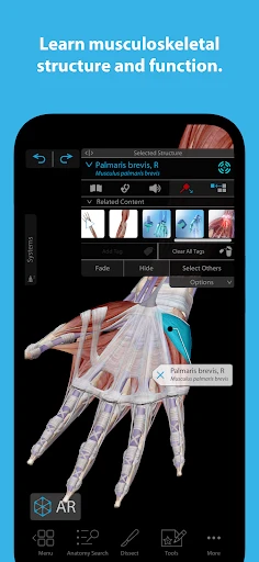 Human Anatomy Atlas 2025 screenshot